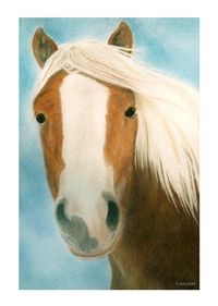 Paard portret