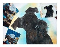 Hond portret 2