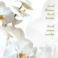 rouw-bedankt-orchidee-hemels-wit